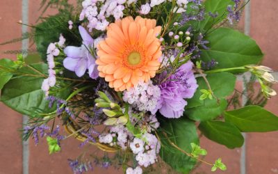 Creative in Bloom at Hansa